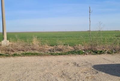 Spațiu comercial, în Central - 2