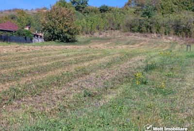 Teren de vanzare - Popesti Vale, 3600 mp - 1