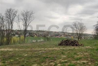 Teren de 2900 mp, în Paleu - 3