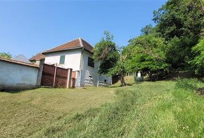 Casa sat Sangatin, jud.Sibiu, cu teren1.93 Ha,comision 0 - 1