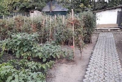 Casă cu 3 camere cu Teren 840 Mp în Central - 5