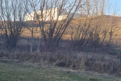 Spațiu comercial, în Borhanci