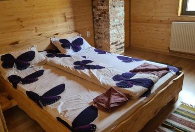 Casa de vacanta, 5 camere, 130 mp, teren 1000 mp, zona Valea Ierii - 13