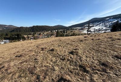 Teren Construcții intravilan de 12500 mp, în Galbena - 2