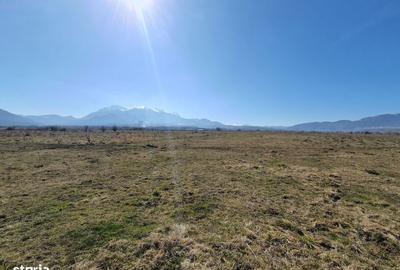 Spațiu comercial, în Central - 4