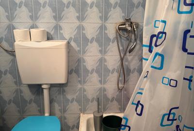 Apartament cu 4 camere decomandat în Giurgiului - 5