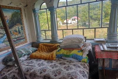 Casă cu 4 camere cu Teren 9000 Mp în Cotmeana - 2