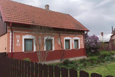Casa de vanzare, 43 ari teren, Horodnic de jos - Suceava - 3