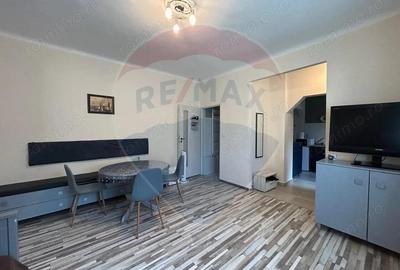Apartament cu 2 camere de inchiriat str. Evreilor Deporta?i - 6