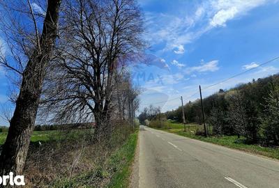Teren de 10000 mp, în Vânători-Neamț - 8