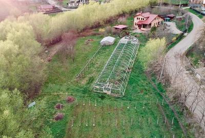 Casă individuală cu 4 camere cu Teren 8800 Mp în Gura Văii - 4