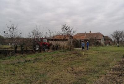 Teren de 1460 mp, în Satchinez - 1