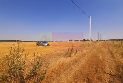 Teren pentru casa/case in Branesti pe strada Toporasi - 15