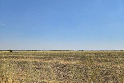 Teren de 4300 mp, în Smârdioasa - 3