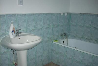 Casa cu 3.300 mp teren, in Vladimirescu! Ideal ansamblu rezidential! - 8