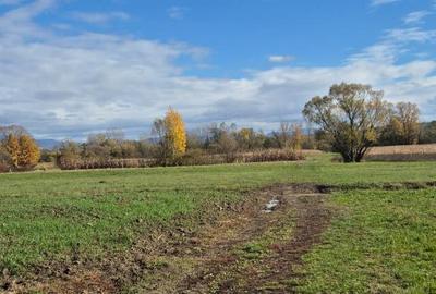 Chechis, 27 ari teren intrav. - 2