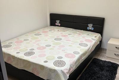 Apartament cu 2 camere decomandat în Jilava - 4