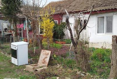 Casă cu Teren 2440 Mp în Peștera - 6