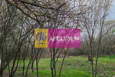 GIURGIU - COM. BUCSANI (SAT OBEDENI) CASA 2 CAM DE VANZARE - 28