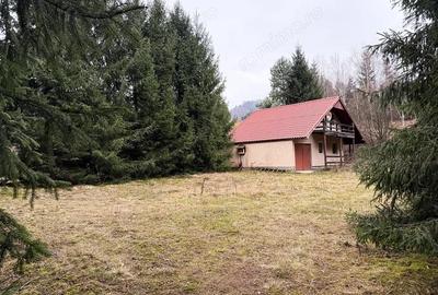 Casă cu Teren 1400 Mp în Bulz - 8