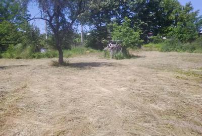 Teren de 4000 mp, în Copăceni - 4