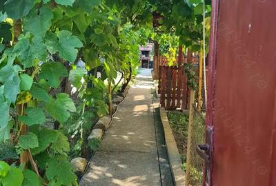 Vand casa in comuna Biled sau schimb cu apartament 3 camere - 7