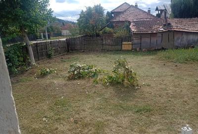 Casă în Aninoasa - 4