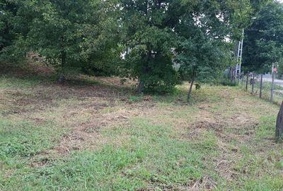 Parava, sat Dragusani, teren 4800mp, la asfalt - 3