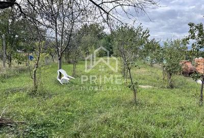 Casă cu 2 camere cu Teren 1100 Mp în Ciugud - 5