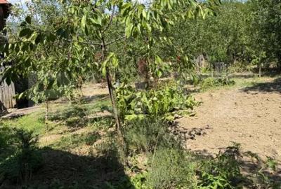 Casă cu 4 camere cu Teren 1053 Mp în Central - 14
