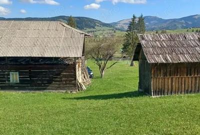 Teren de 28307 mp, în Coșna - 11