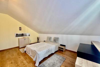 Apartament cu 2 camere semidecomandat, mobilat în Hala Centrală - 2