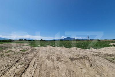 Teren 6300mp-Oportunitate investitie,zona in dezvoltare Teren 6300mp-Oportunitate investitie,zona in dezvoltare - 4