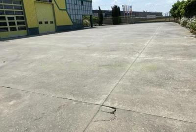 Spațiu comercial, de 600 mp, în Pecica - 4