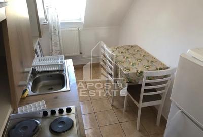 Apartament 1 camera, 40 mp, mansarda, centrala proprie, Buziasului - 6