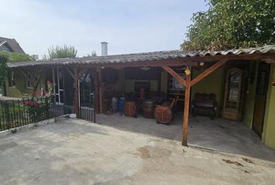 Duplex cu 6 camere cu Canalizare în Săcălaz - 17