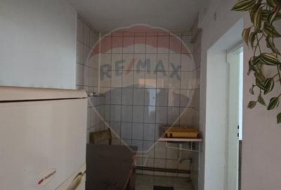 Casă cu 10 camere cu Teren 1000 Mp în Chisindia - 12