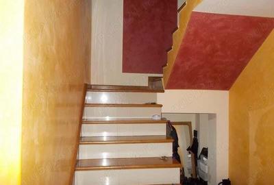 Vila, Timisoara, zona Bucovina, P+E+M, 6 dormitoare + anexa cu ap cu 2 cam, 470mp teren - 3