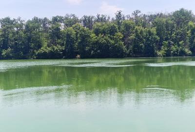 Teren Construcții intravilan de 2110 mp, în Brănești - 1