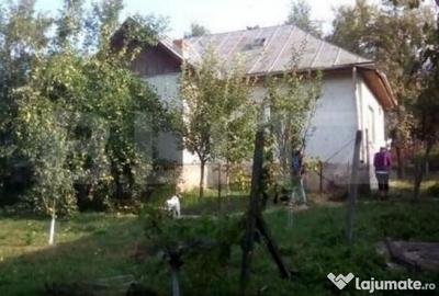 Casă cu 2 camere cu Teren 3673 Mp în Coșeiu - 1