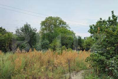 Teren extravilan 17524 mp, expunere sudica, Viforata - 19