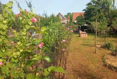 Casa Mana?tiur Timi? - 4