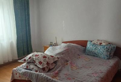 Casă cu Teren 405 Mp în Valu lui Traian - 7