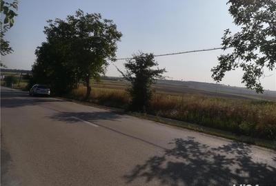 Teren de 5000 mp, în Cristești - 2