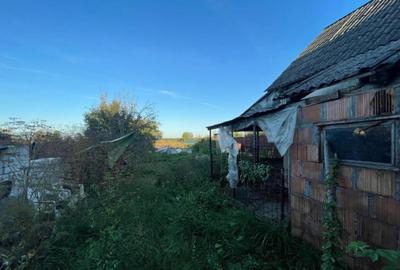 Investitie pentru liniste si oaza de verdeata - 27