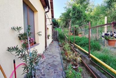 Casa individuala S+P+M cu teren 1723 mp, zona linistita, in Grigorescu - 2