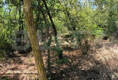 Teren 3000 mp - 1200 mp intravilan, zona Cuparu - 3