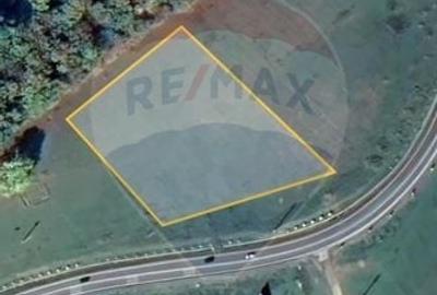 Teren agricol extravilan de 7000 mp, în Ilișești - 4