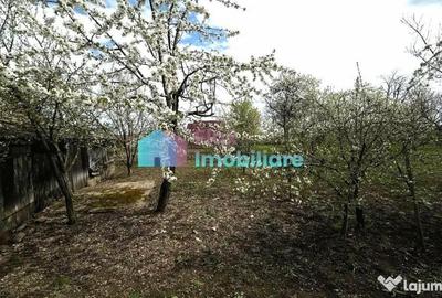 Casă cu 3 camere cu Teren 1410 Mp în Dumbrăveni - 7