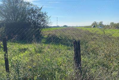 Teren de 10198 mp, în Bujac